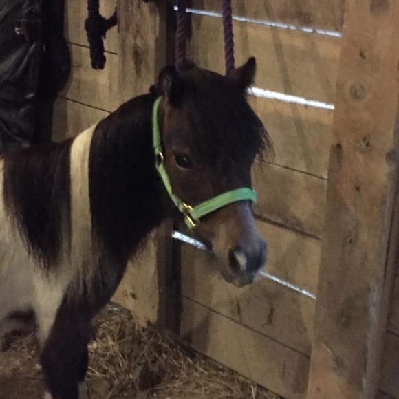 Meet your Posher, S - Picture 1 of 1